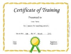 Free Certificate of Training Template - Customizable